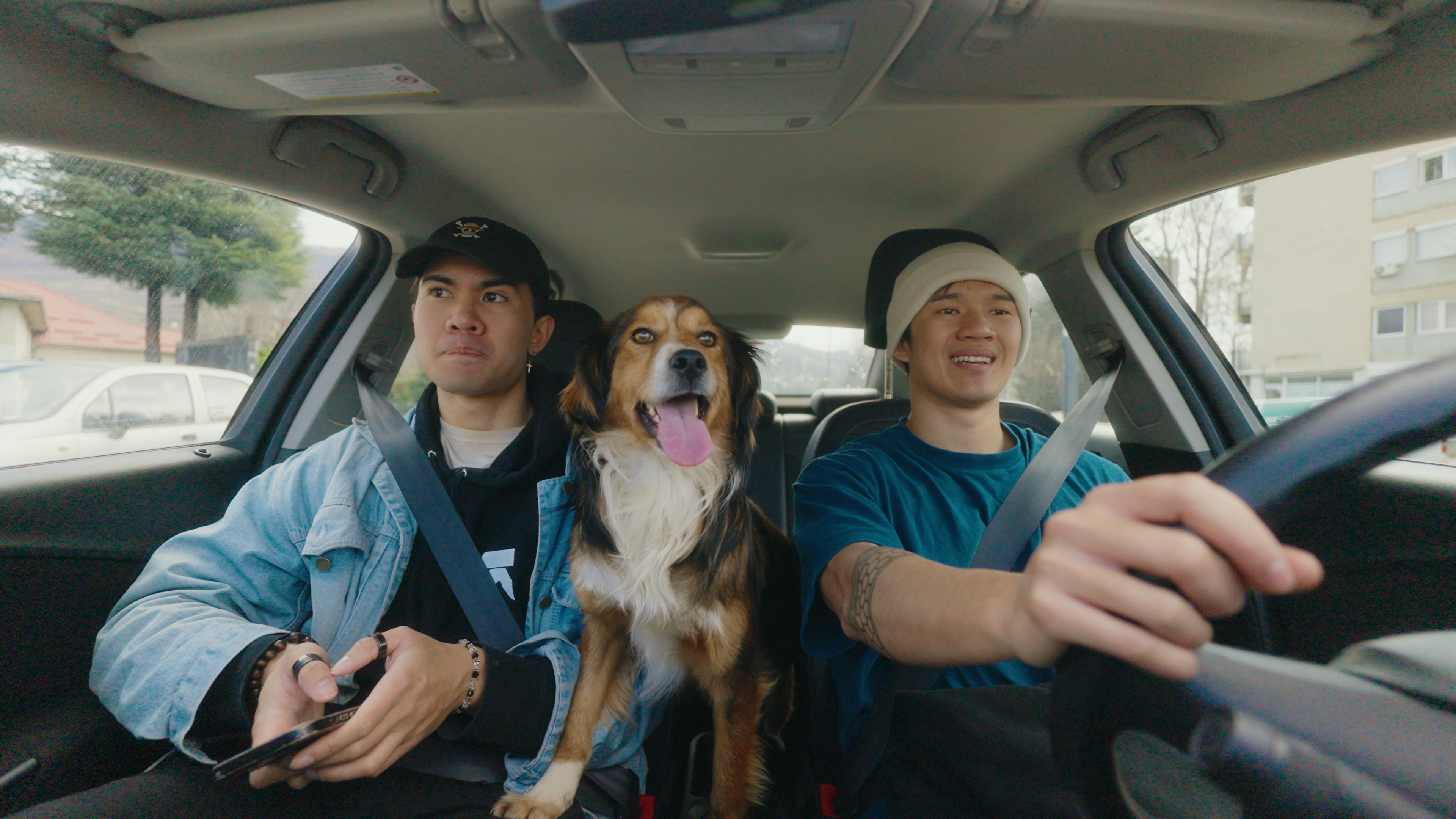 Car with friends and dog - travel memories